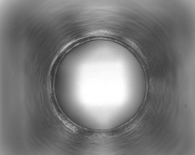 X0000053020931200508051223