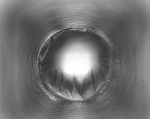X0000053020932200508051223