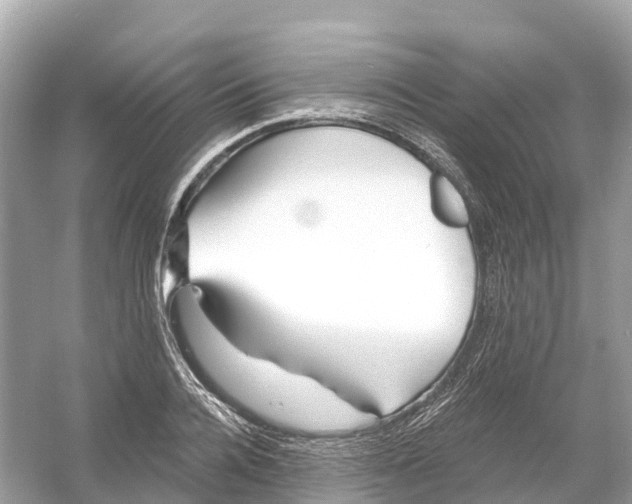 X0000053020936200508051223