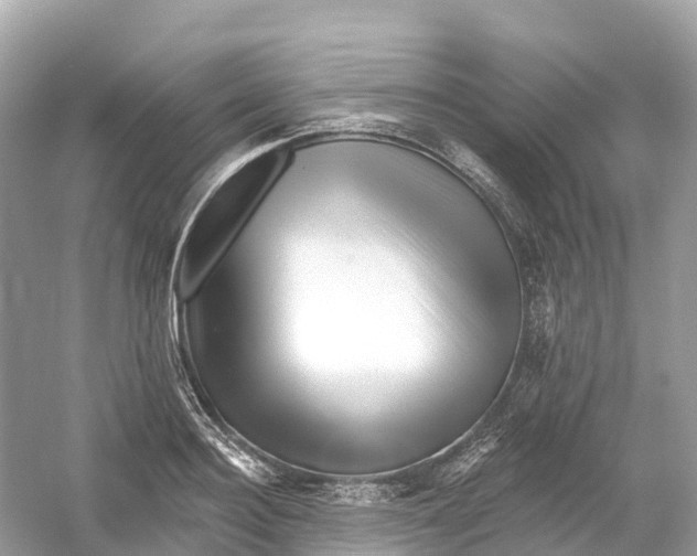 X0000053020940200508051223