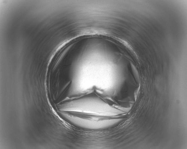 X0000053020943200508051223