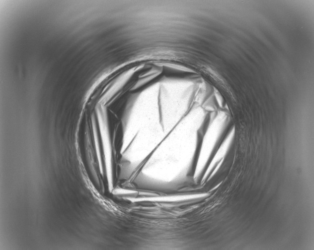 X0000053020944200508051223