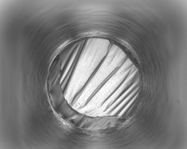 X0000053020946200508051223