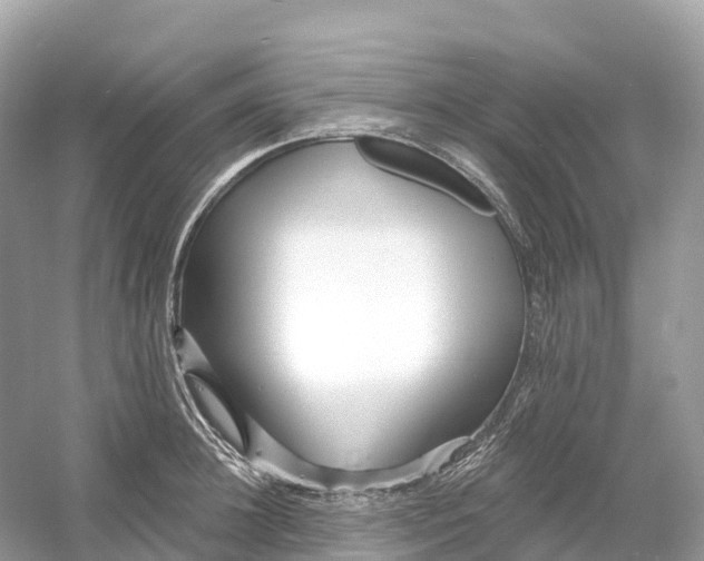 X0000053020948200508051223