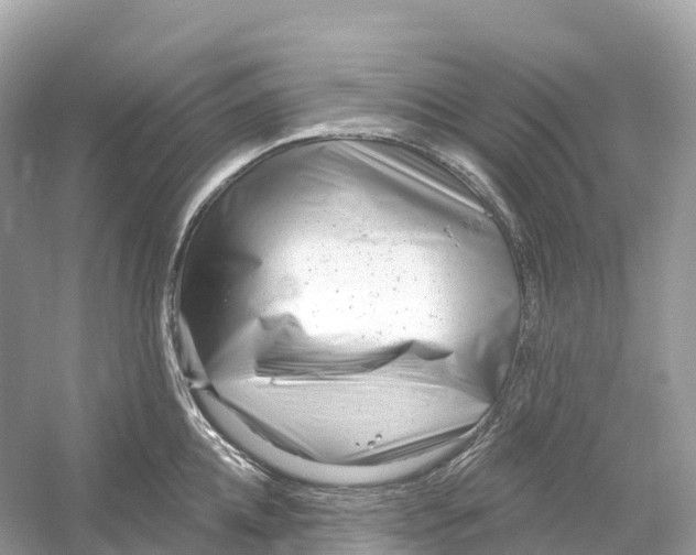 X0000053020952200508051223