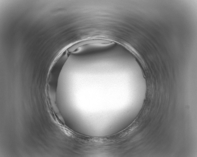 X0000053020956200508051223