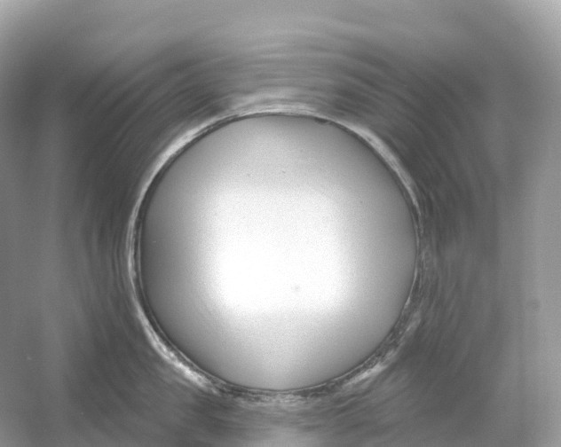 X0000053020957200508051223