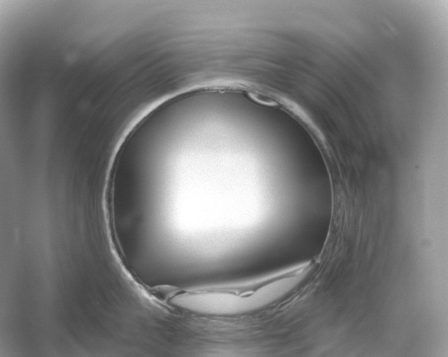 X0000053020959200508051223
