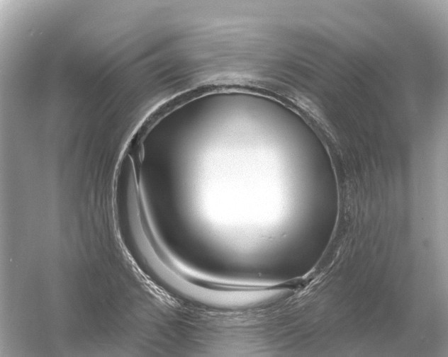 X0000053020976200508051222