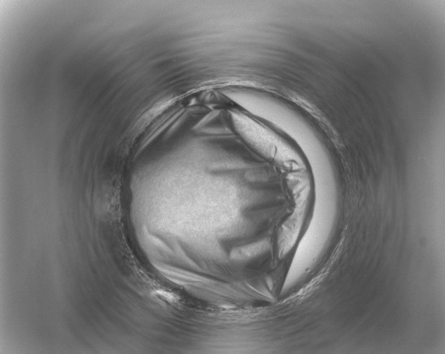 X0000053020977200508051222