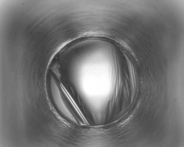 X0000053020981200508051222