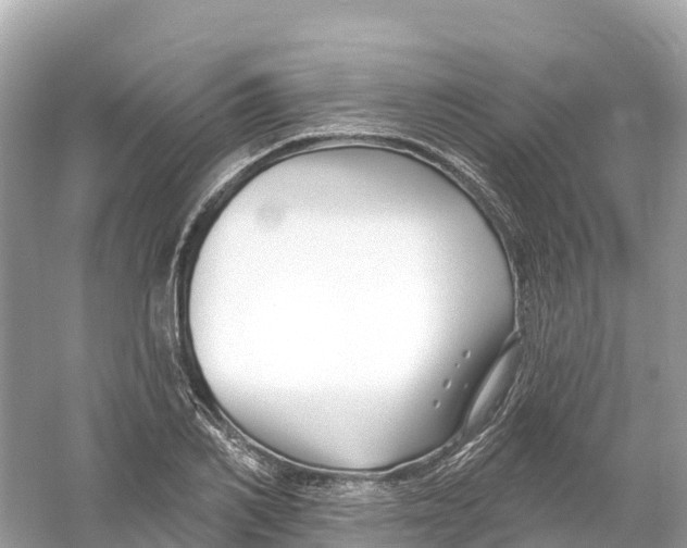 X0000053020982200508051222