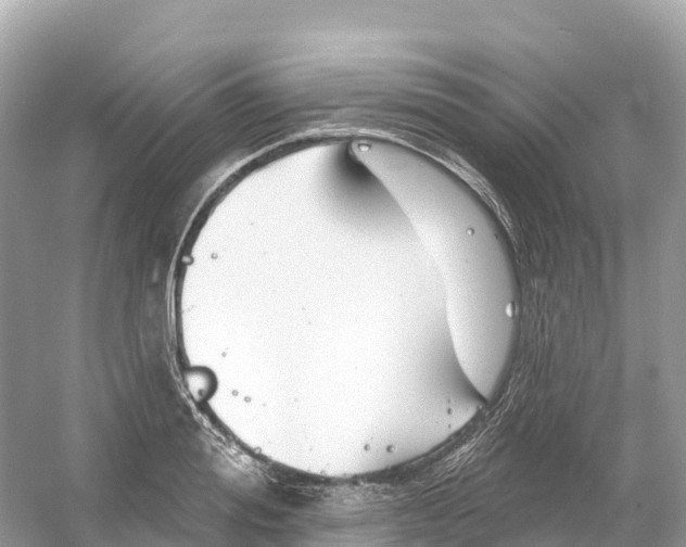 X0000053020988200508051222