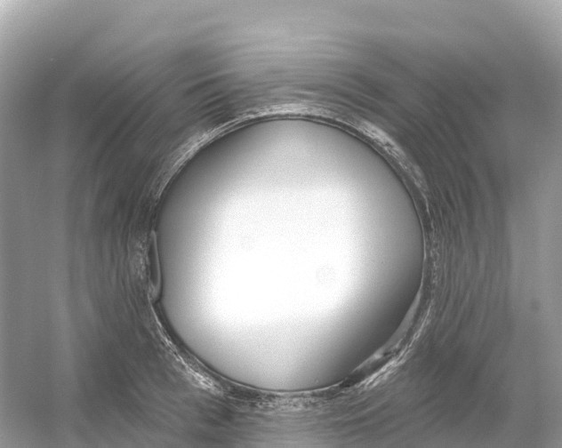 X0000053020993200508051222