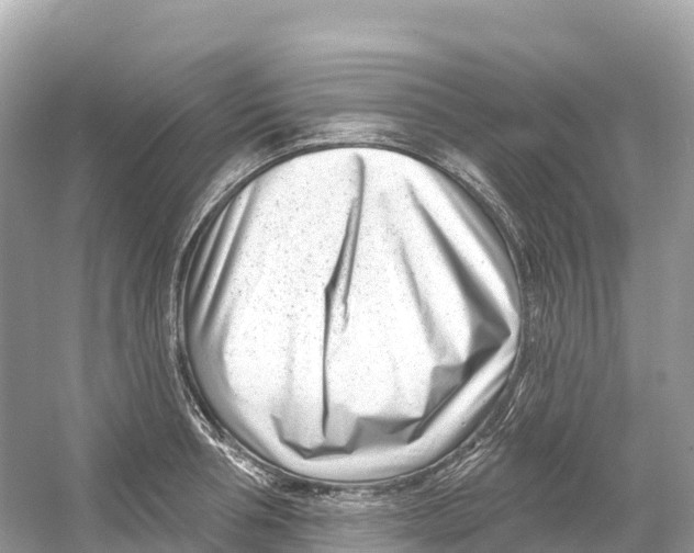 X0000053020994200508051222