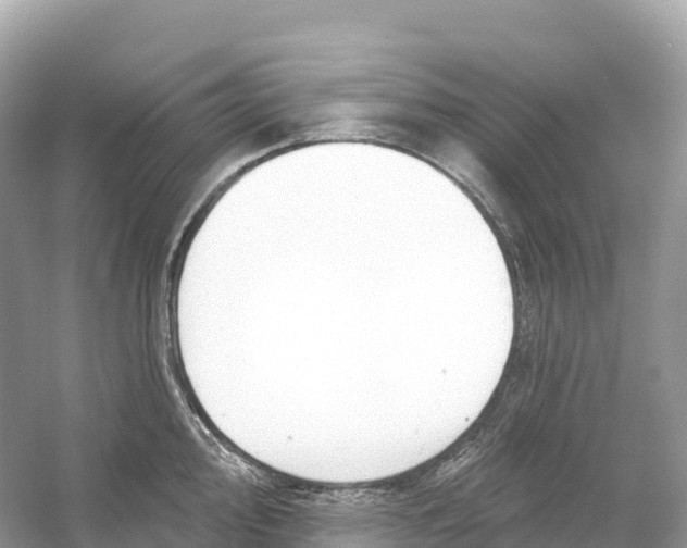 X0000053021000200508051222
