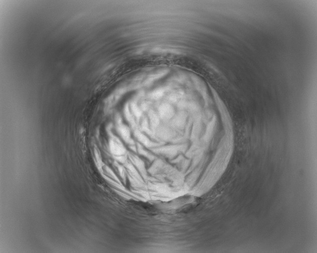 X0000053021013200508051221