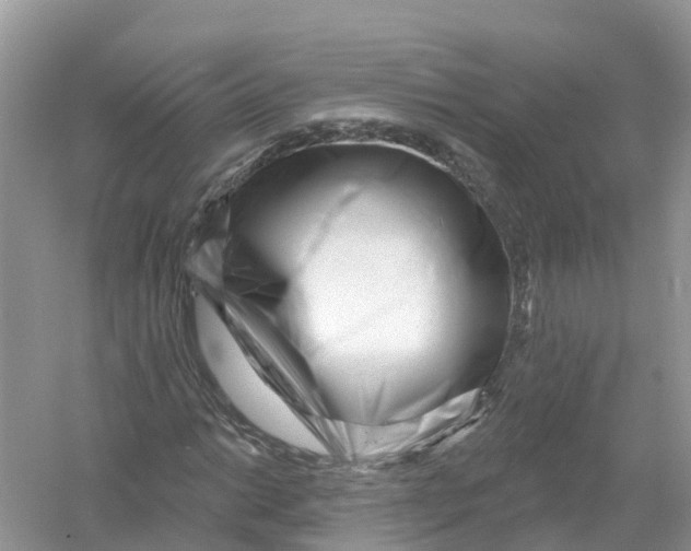 X0000053021014200508051221