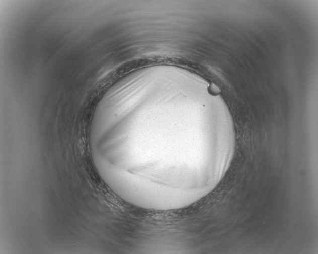 X0000053021015200508051221
