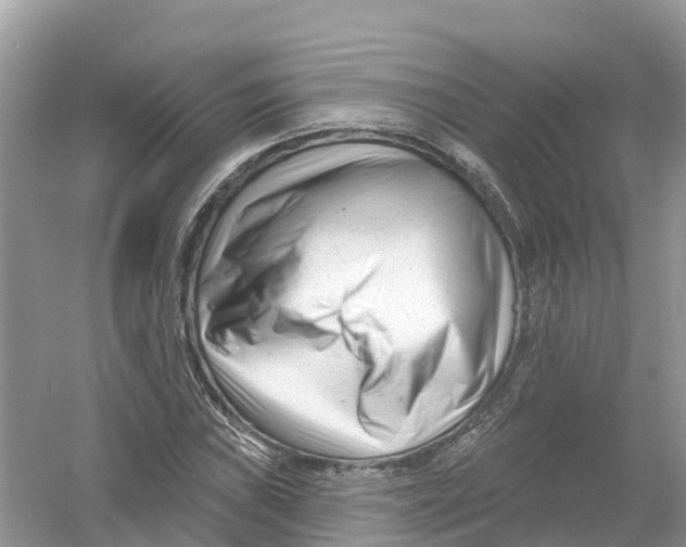 X0000053021019200508051221