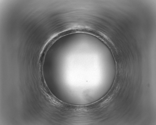X0000053021021200508051221