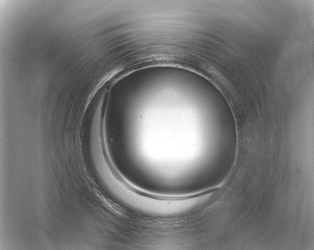 X0000053021026200508051221