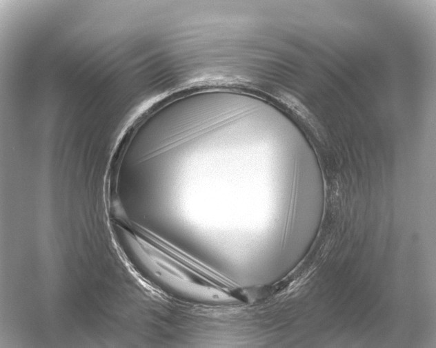 X0000053021030200508051221
