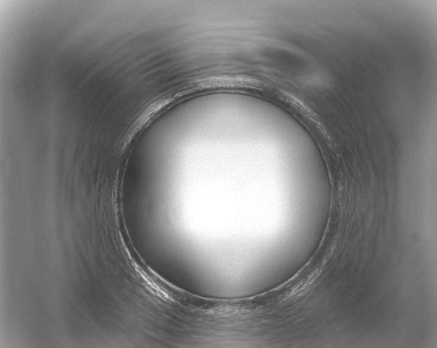X0000053021033200508051221