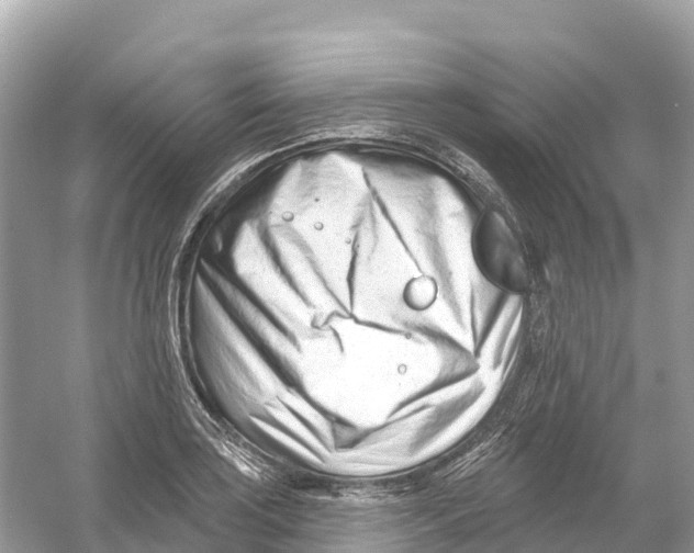 X0000053021035200508051221