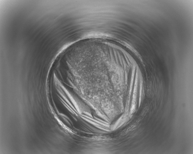 X0000053021037200508051221