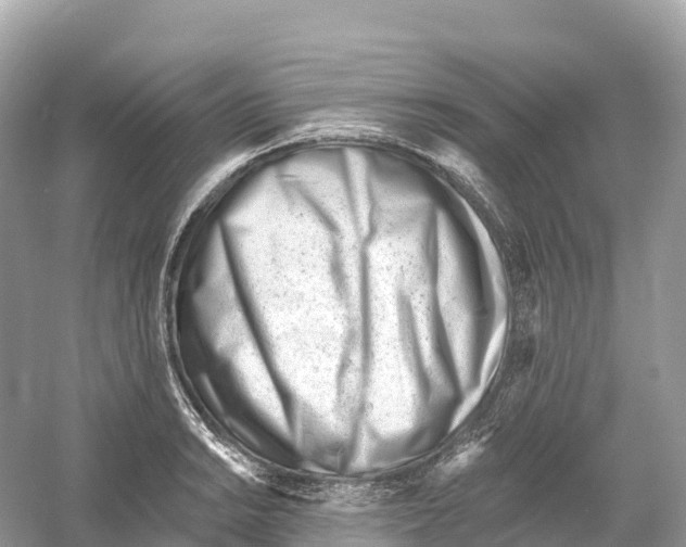 X0000053021038200508051221
