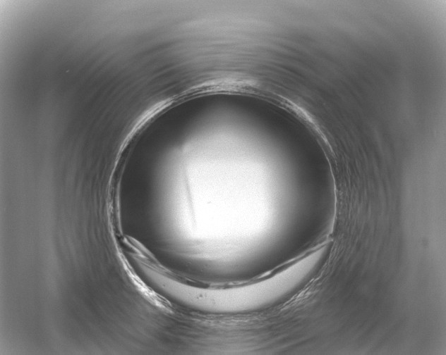 X0000053021042200508051221