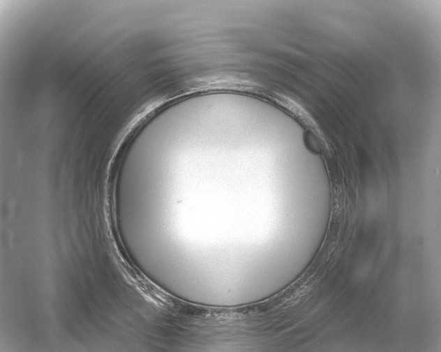 X0000053021043200508051221