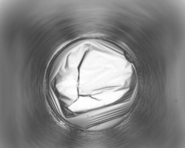 X0000053021044200508051221