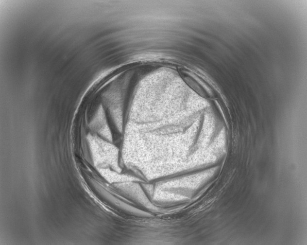 X0000053021045200508051221