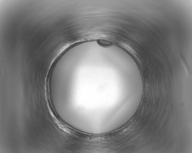 X0000053021047200508051221