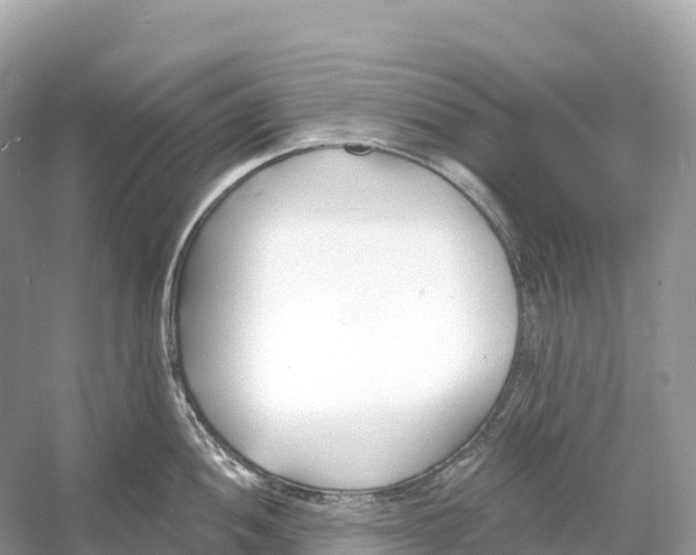 X0000053021052200508051221