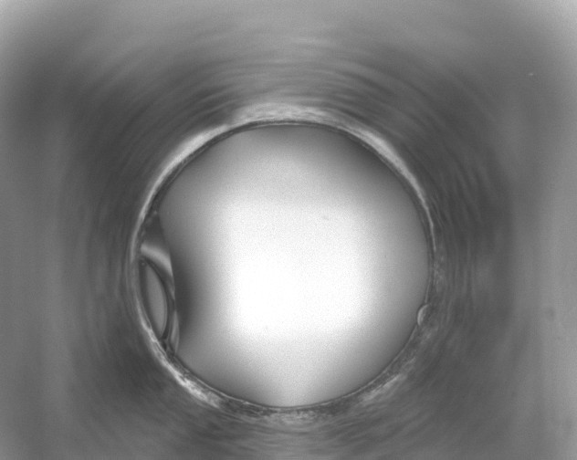 X0000053021053200508051221