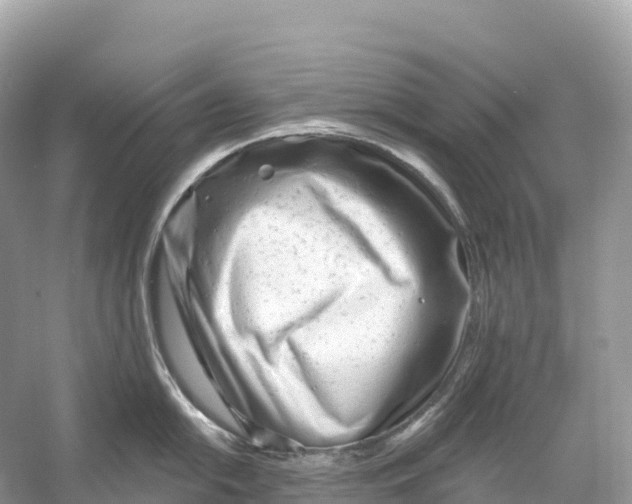 X0000053021054200508051221