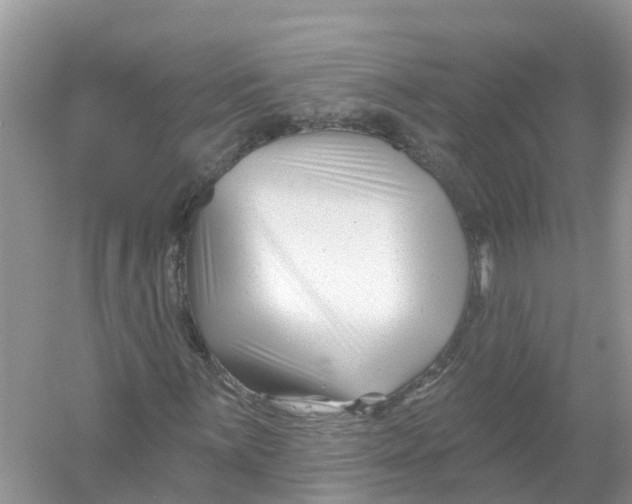 X0000053021059200508051221