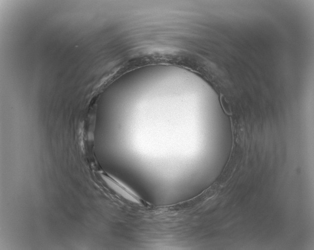 X0000053021061200508051221