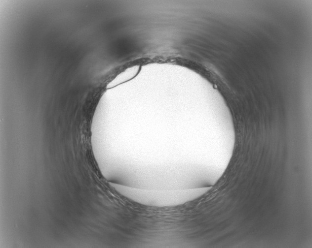X0000053021063200508051221