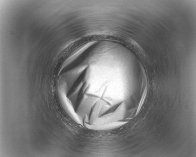 X0000053021064200508051221
