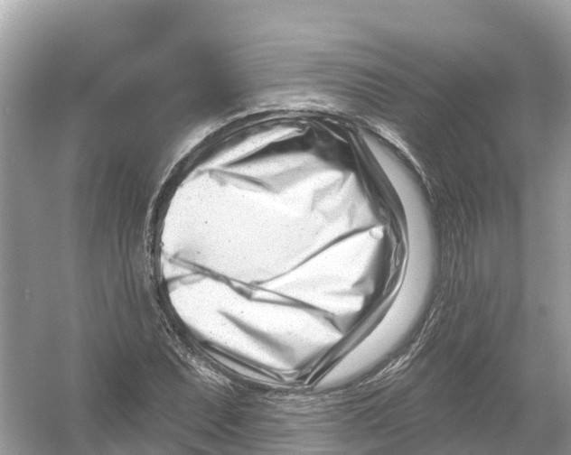 X0000053021071200508051220