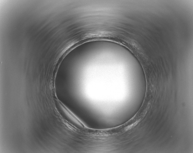 X0000053021073200508051220