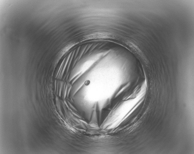X0000053021081200508051220