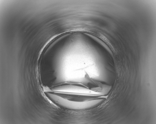 X0000053021092200508051220