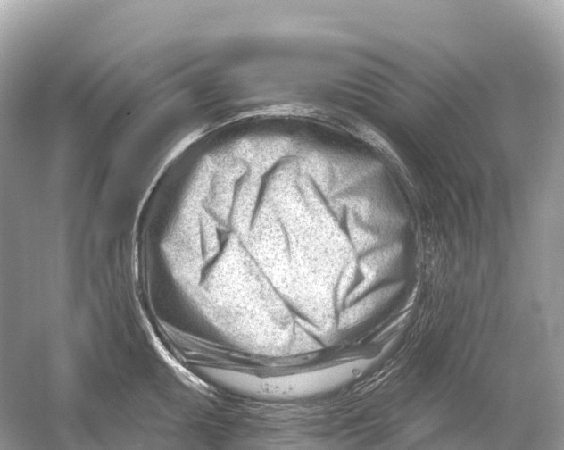 X0000053021095200508051220