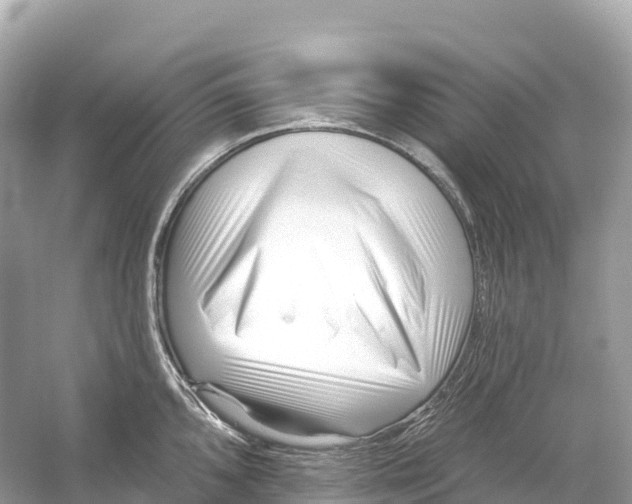 X0000053021096200508051220