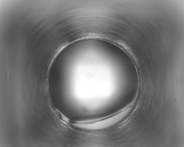 X0000053021097200508051220